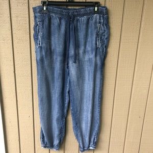 Cloth & Stone denim joggers